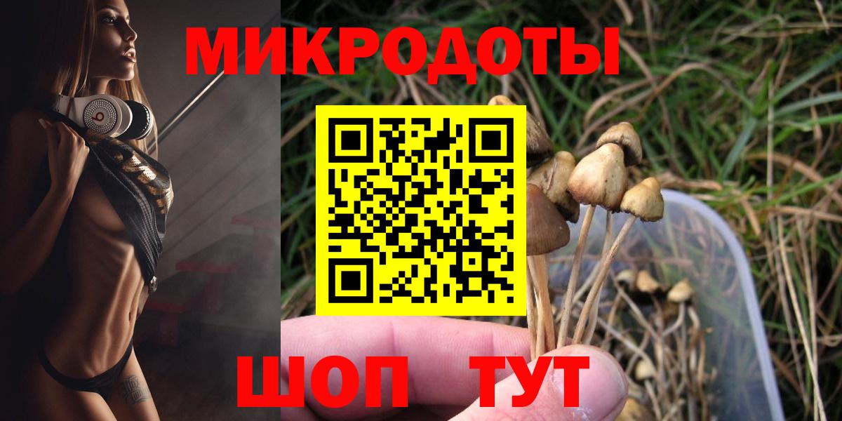 Псилоцибиновые грибы Magic Shrooms  Вход с VPN  где можно купить наркотик  Псилоцибиновые грибы GOLDEN TEACHER  Гудермес 